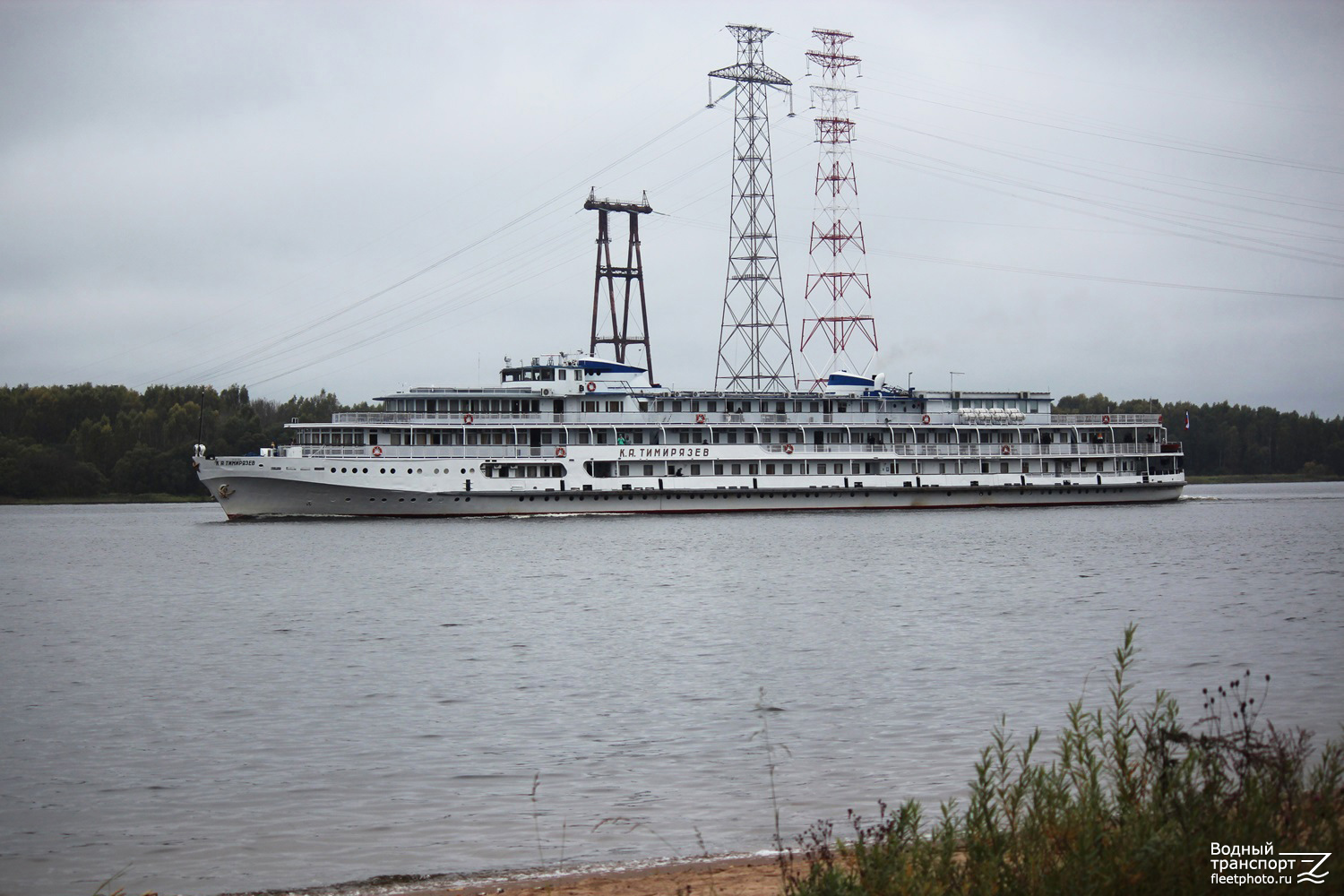 К.А. Тимирязев