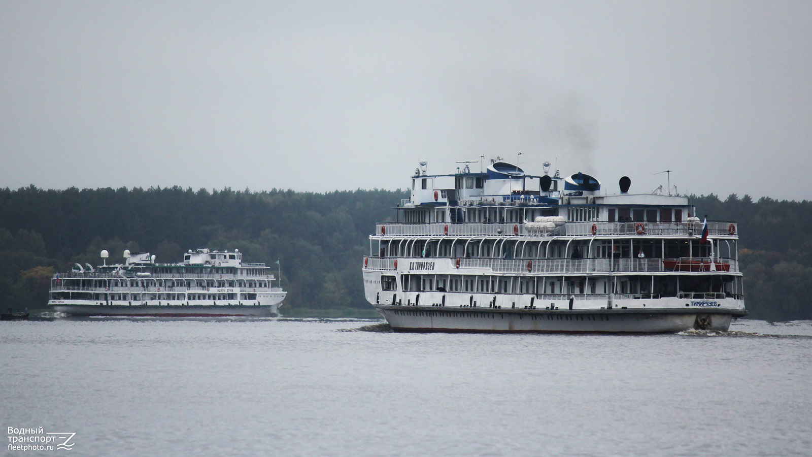 К.А. Тимирязев