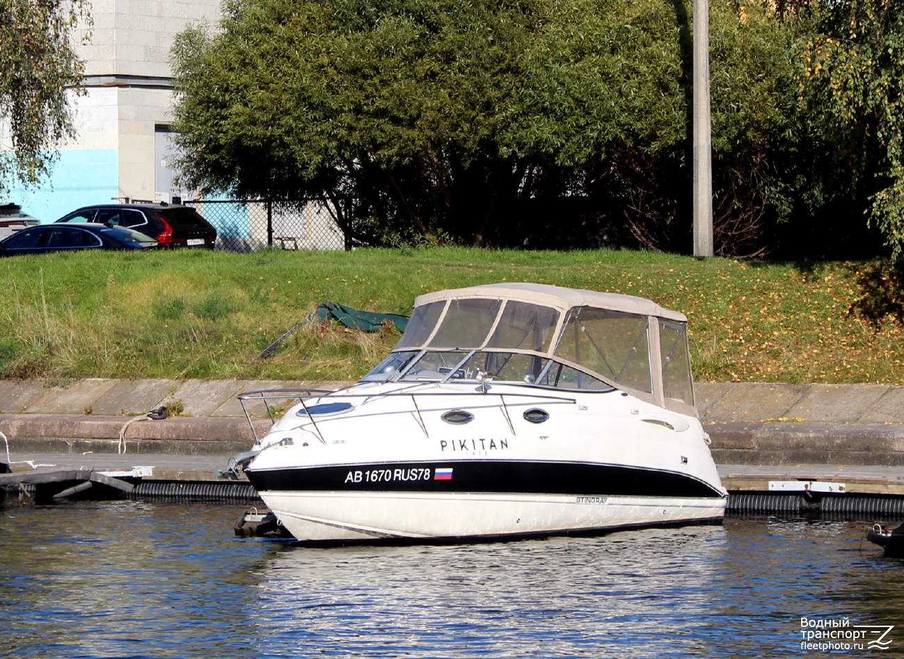 Pikitan Tree Pikitan Tree