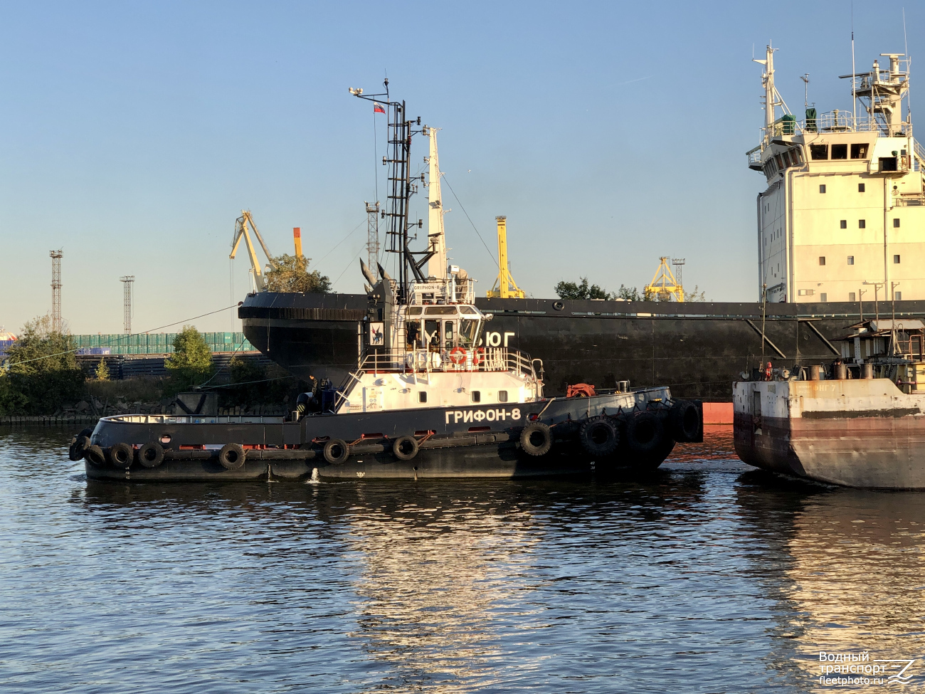 Грифон-8