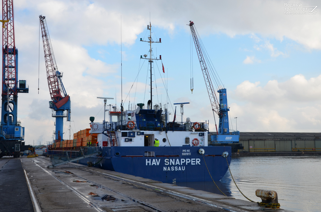 HAV Snapper