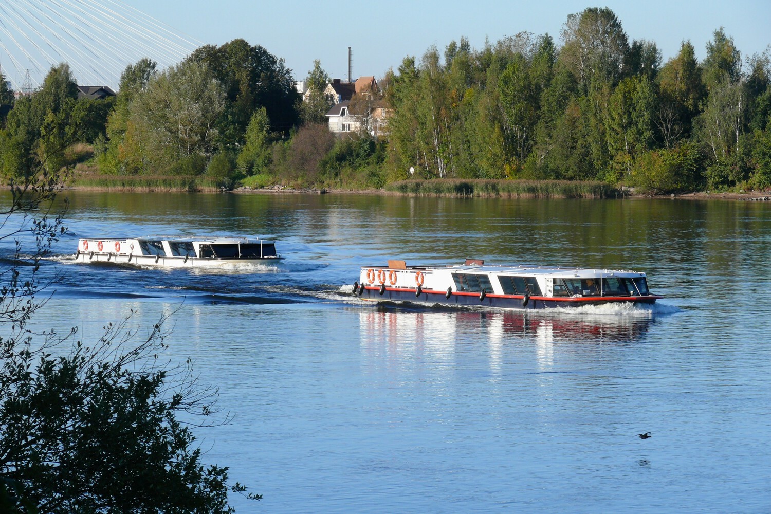 Пётр Великий, Альбертина