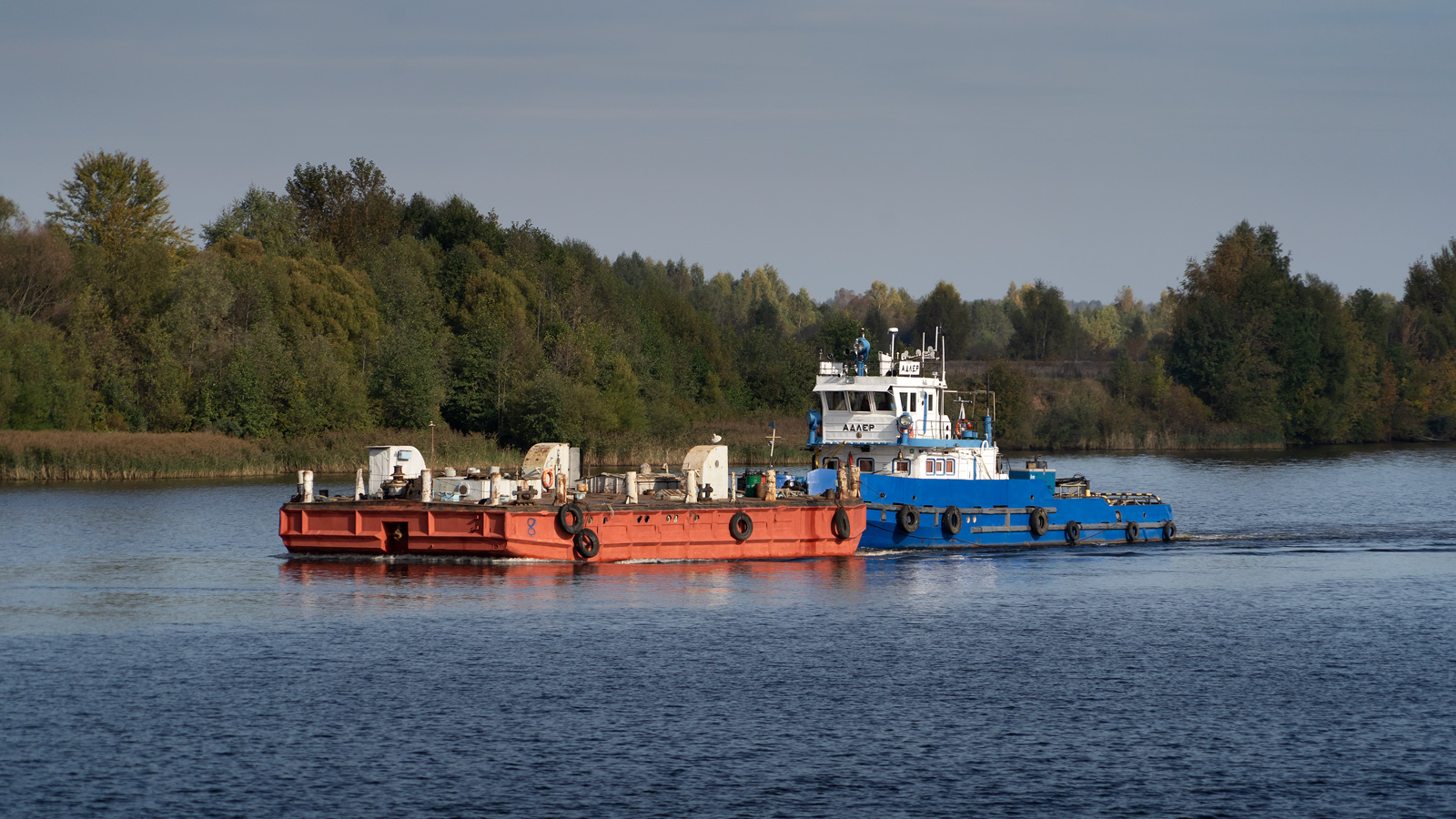 8, Адлер