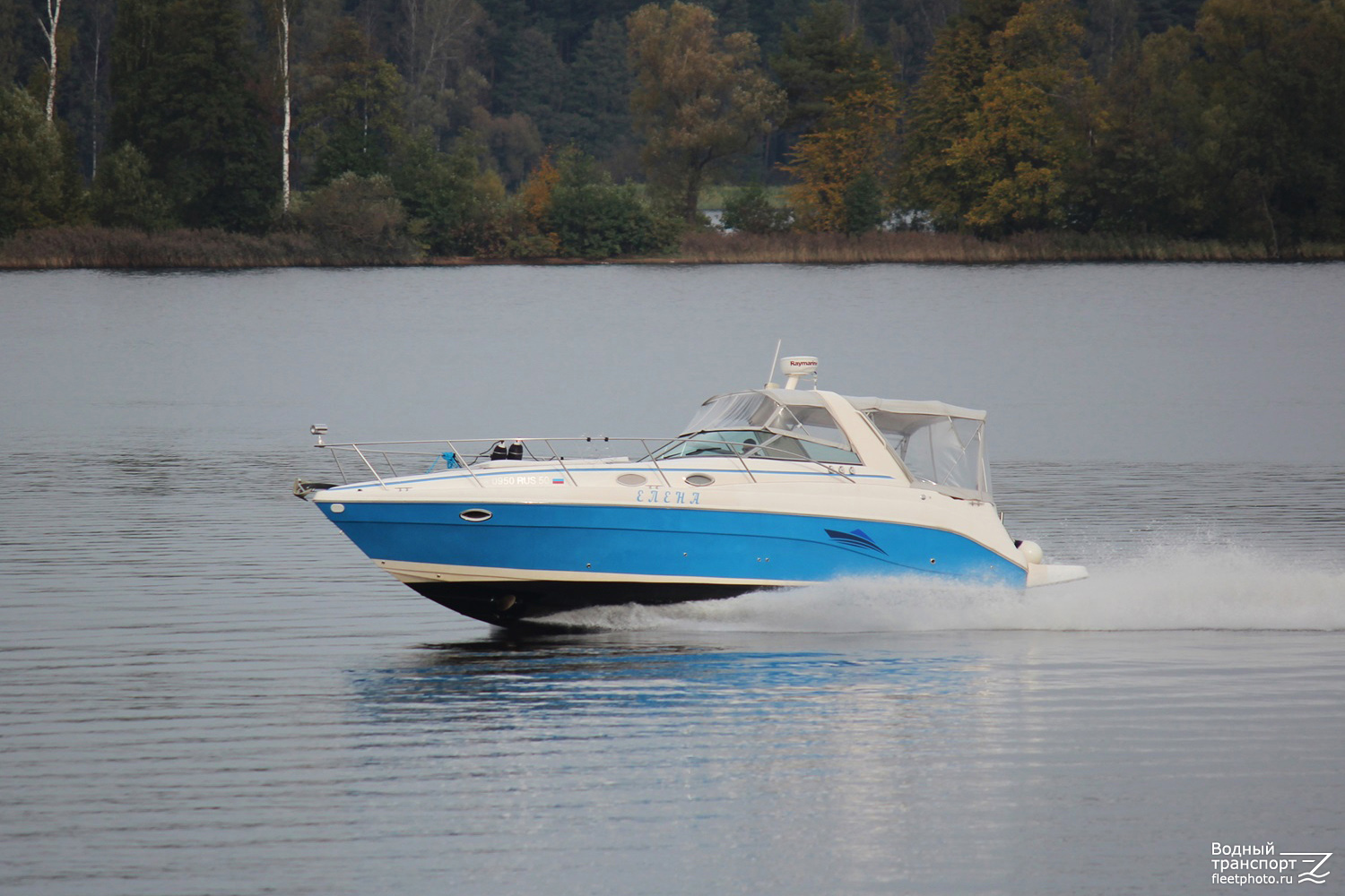 Елена Елена