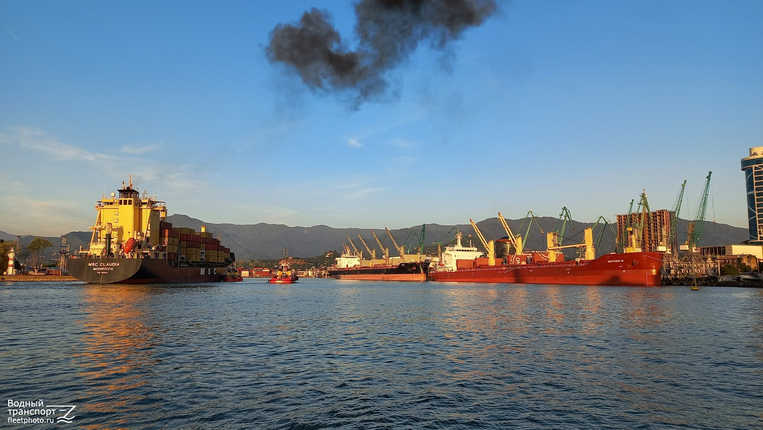 MSC Claudia, Tamara I, Tamara II, Alara, Intrepid Harvester