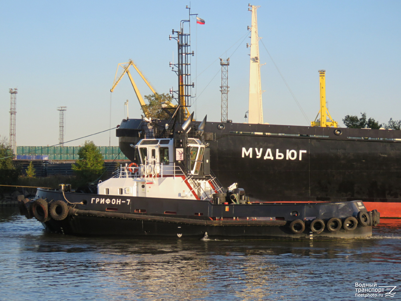 Грифон-7