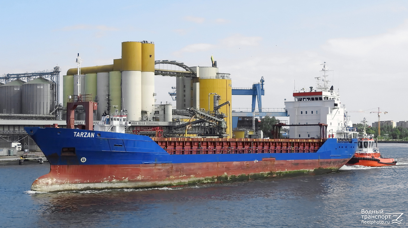 Tarzan, Vega Tarzan, Vega