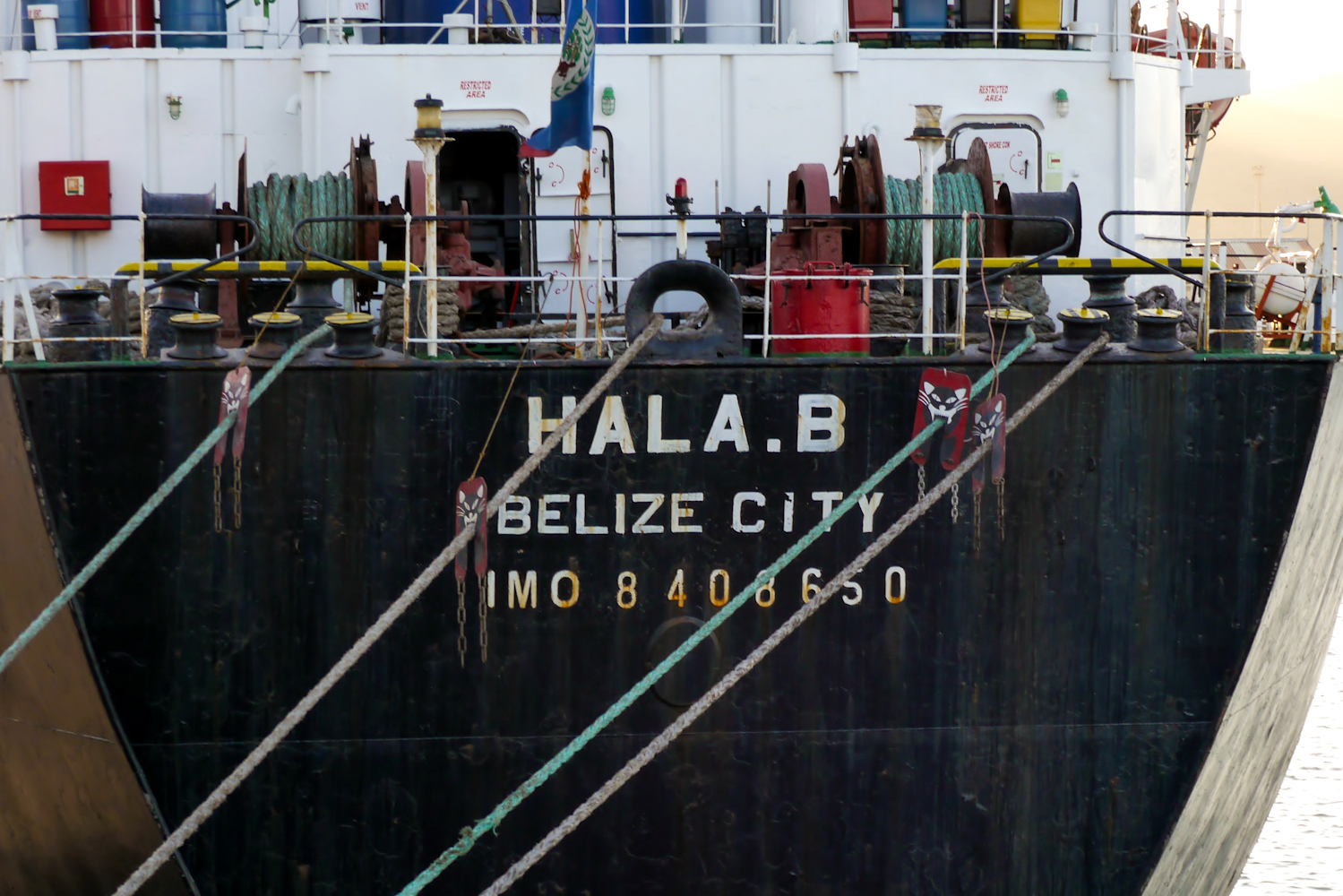 Hala B. Elements and details