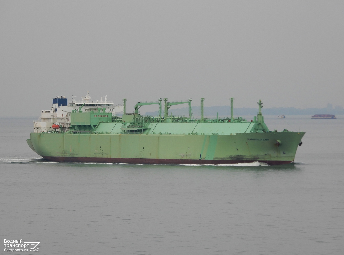 Marigold LNG