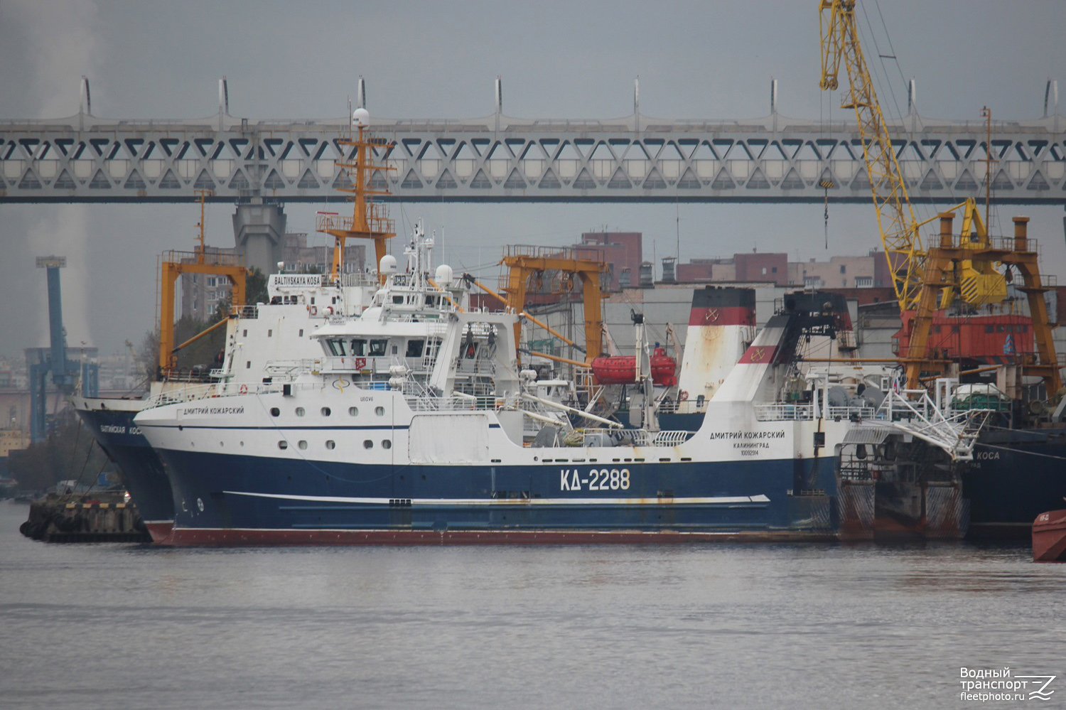 Дмитрий Кожарский