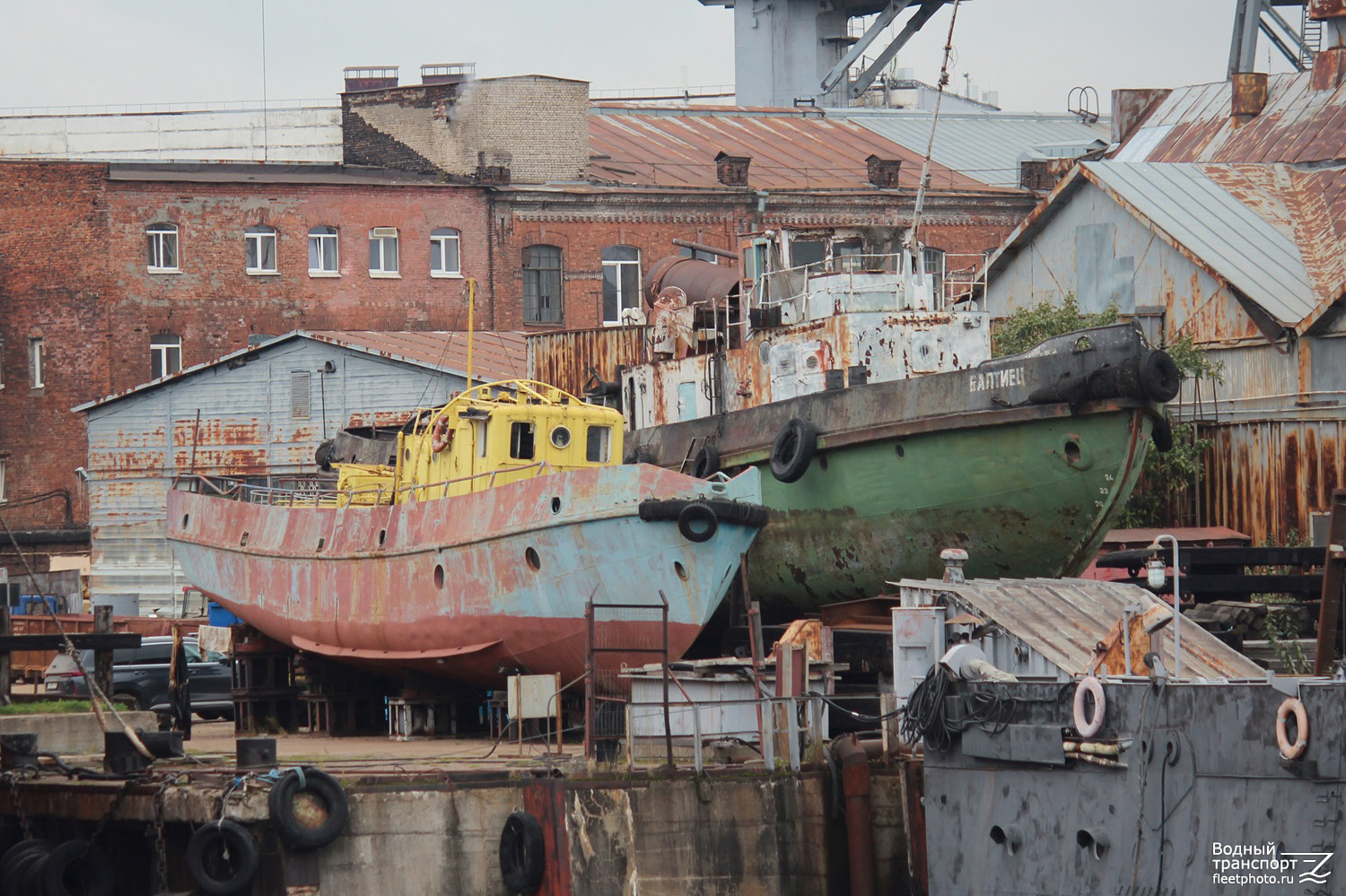 Дельфин, Балтиец Дельфин, Балтиец