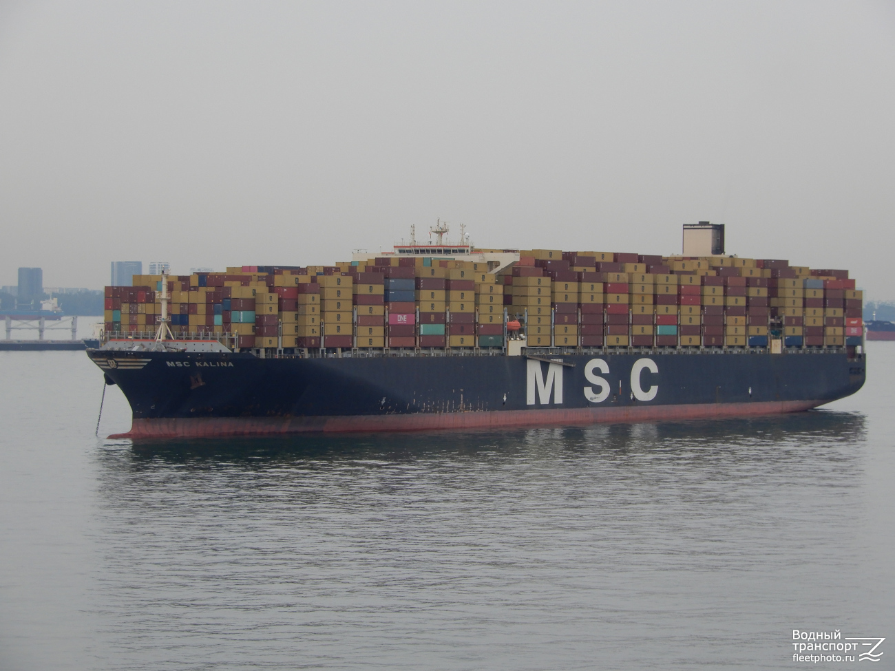 MSC Kalina