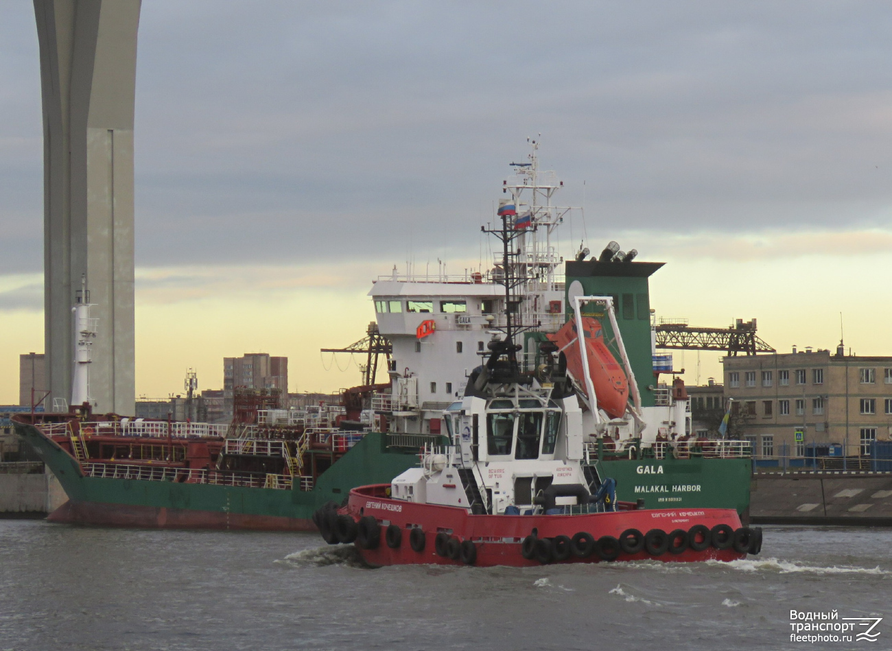 Евгений Кочешков Евгений Кочешков