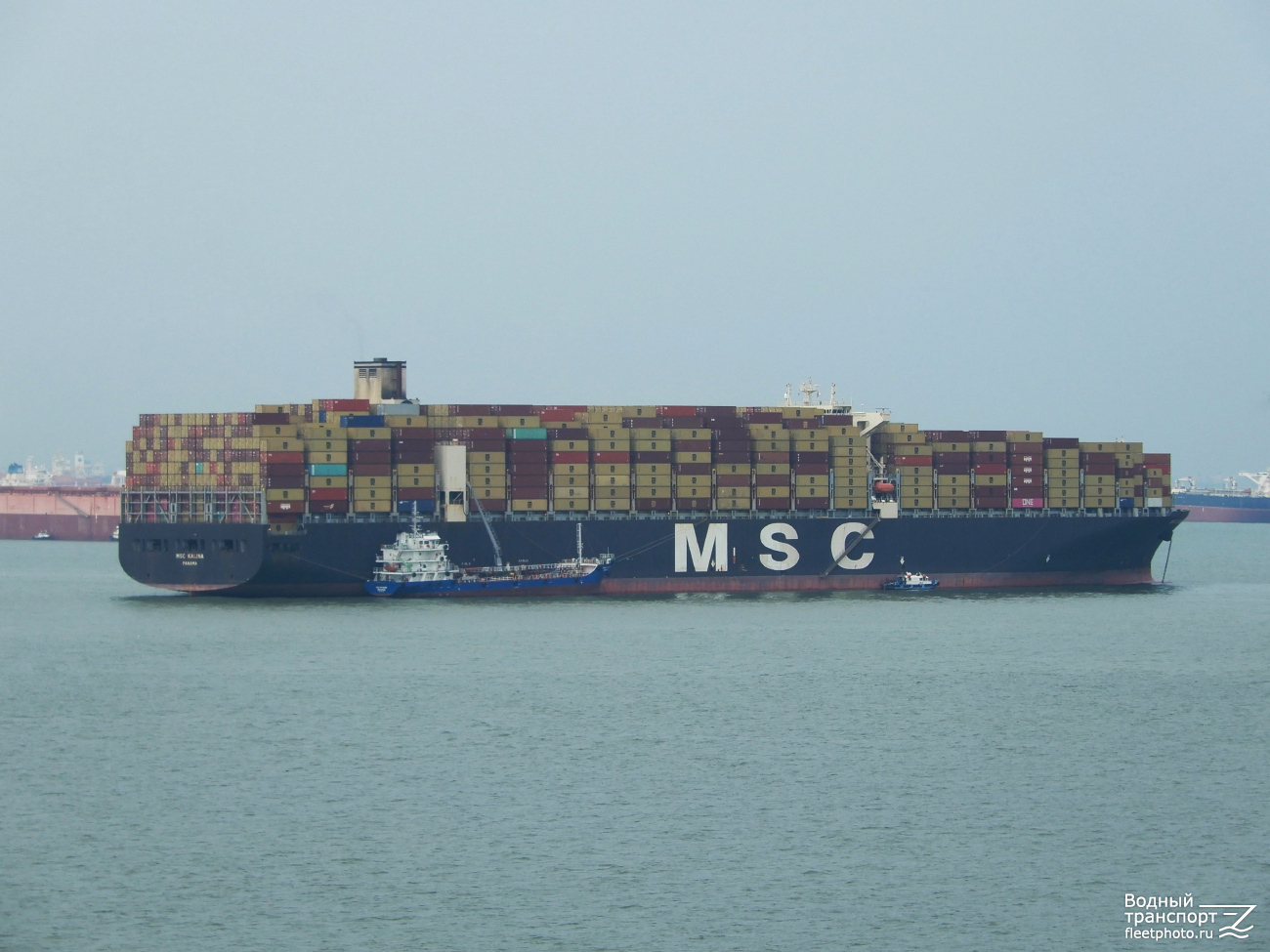 MSC Kalina