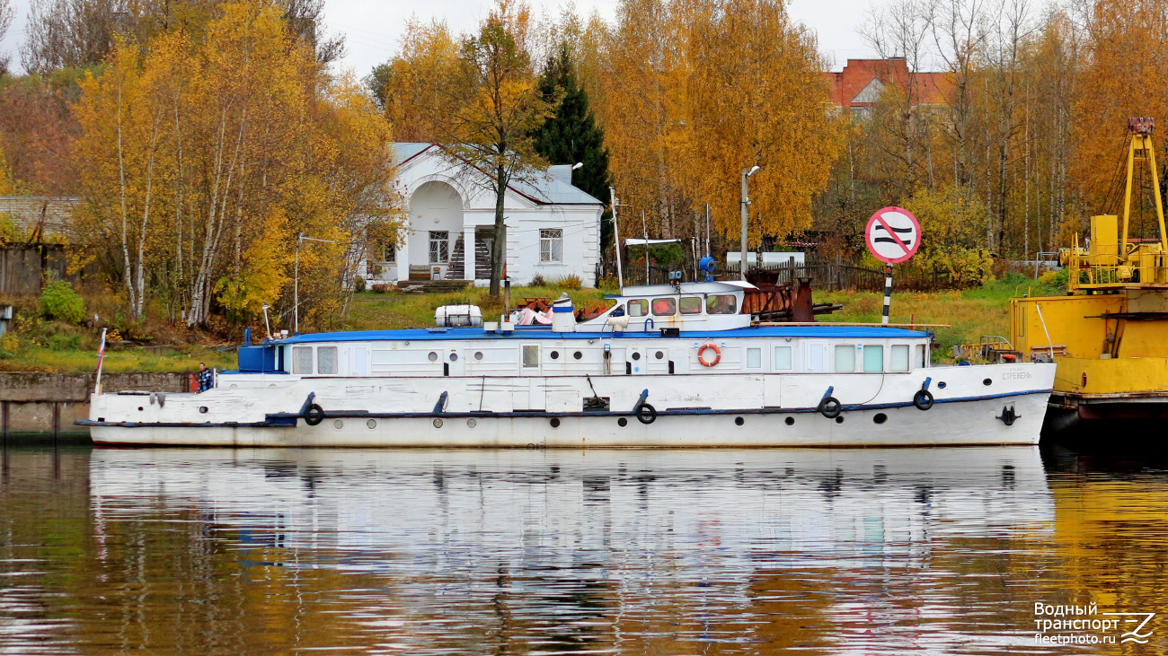 Стрежень