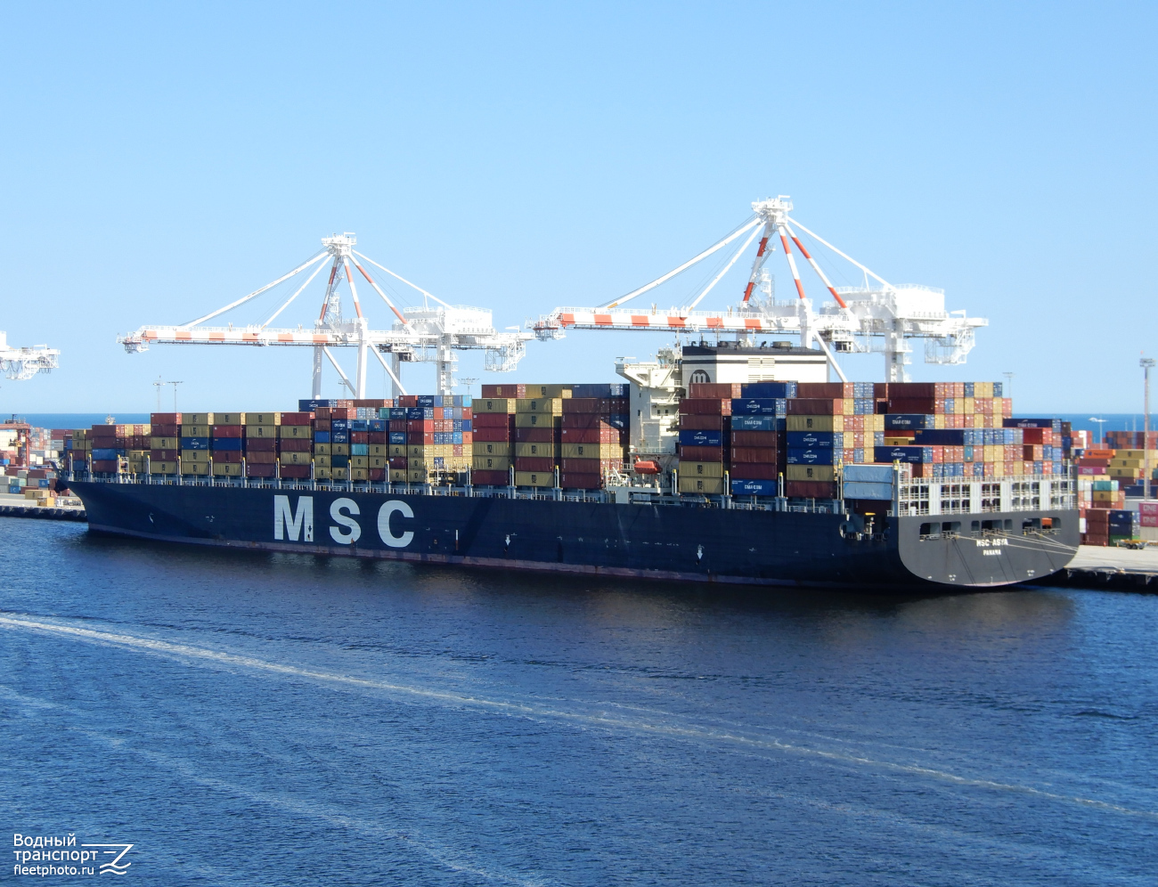 MSC Asya