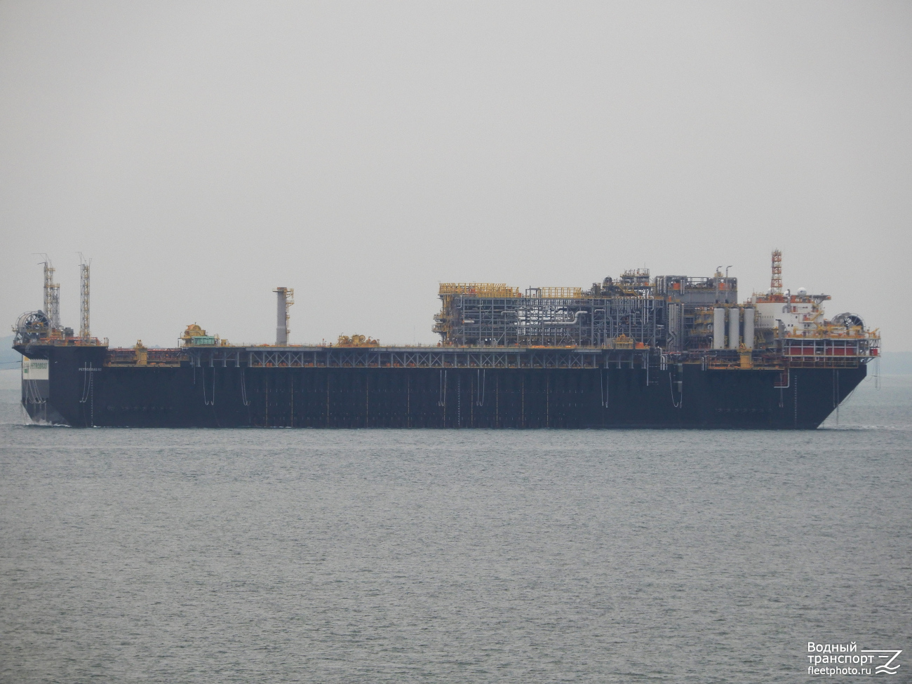 Petrobras 82