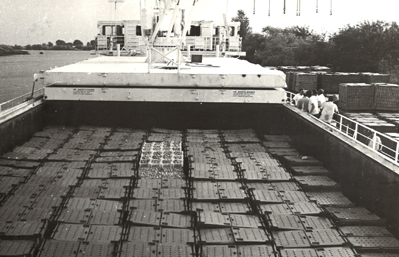 СТ-1302. Виды палуб