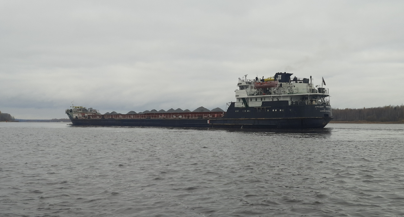 Аркадий Минченя