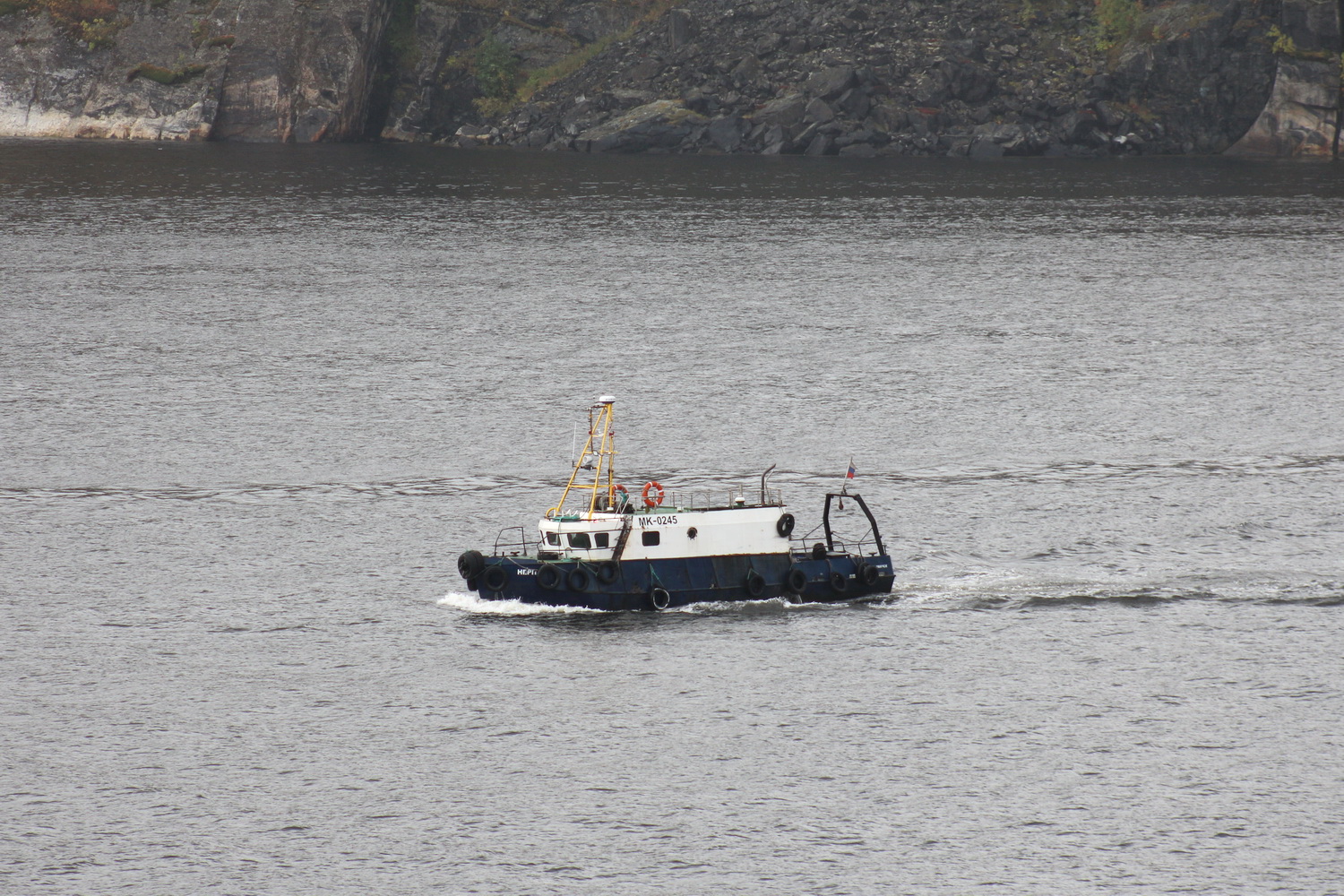 Нерпа Нерпа