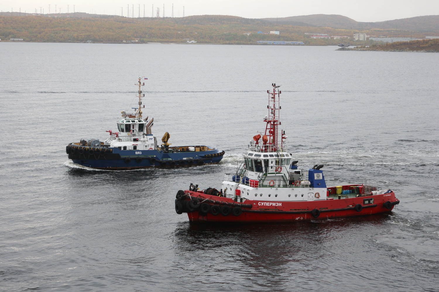 Вяз, Супермэн