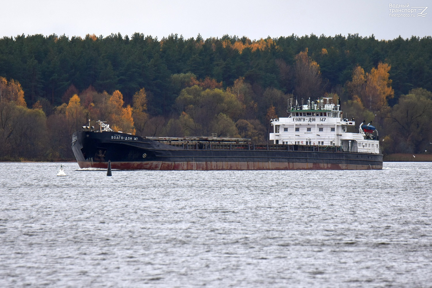 Волго-Дон 147