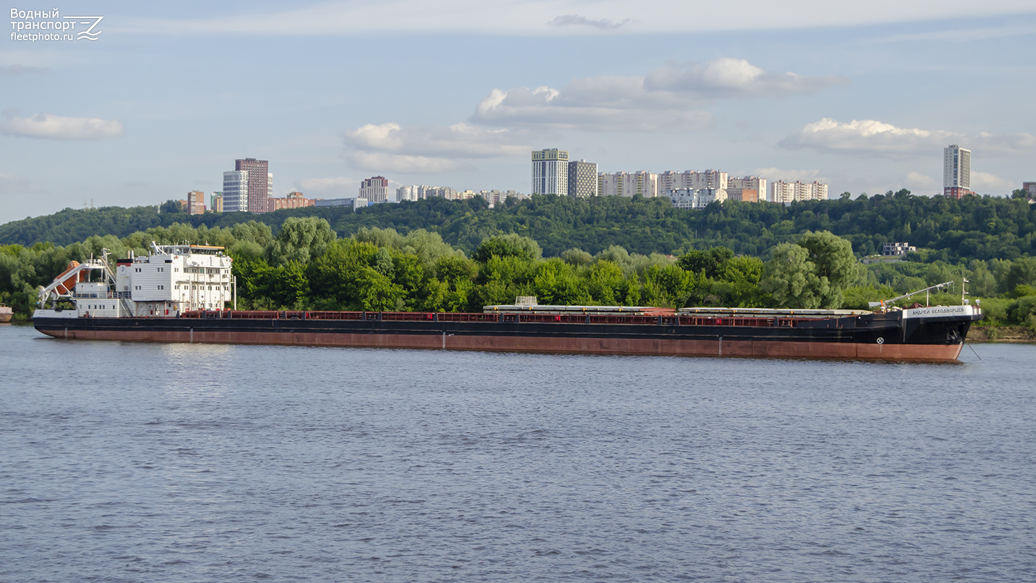Андрей Белодворцев