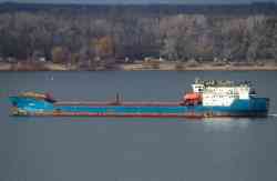 Lauga (Design 16510, тип Иван Щепетов, Saint Petersburg)