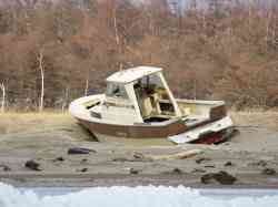 УТ 0058 RUS 25 (Маломерные суда, Приморский край)