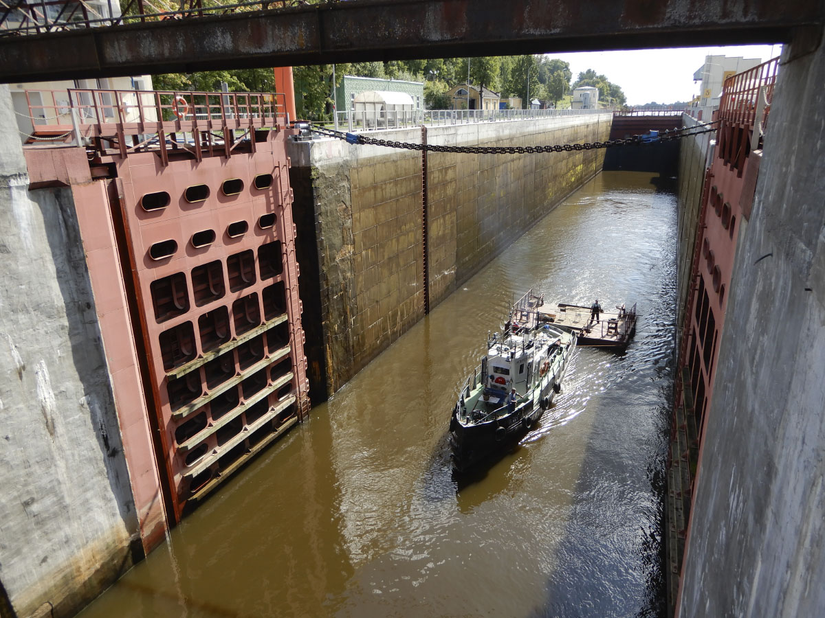 Фазан. Volkhov River