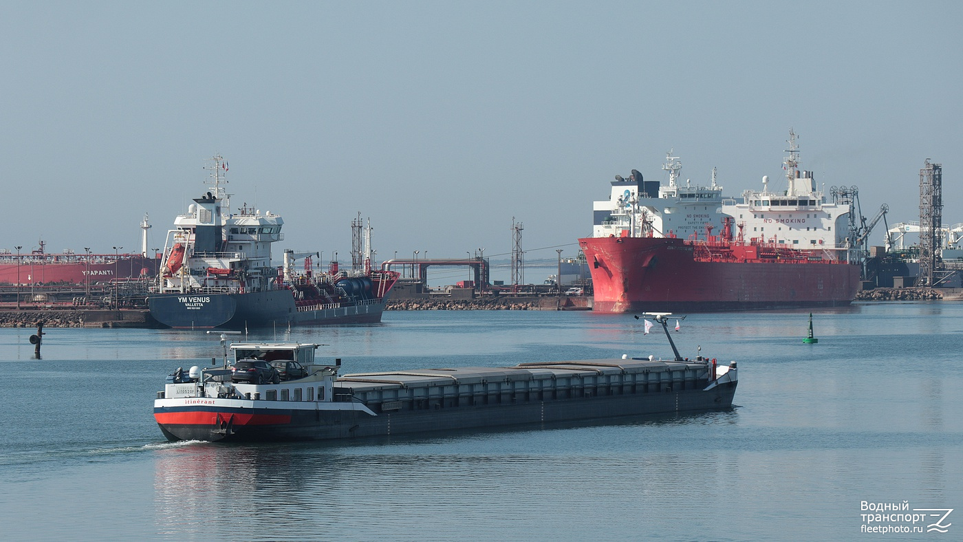 YM Venus, Itinérant, Conti Greenland