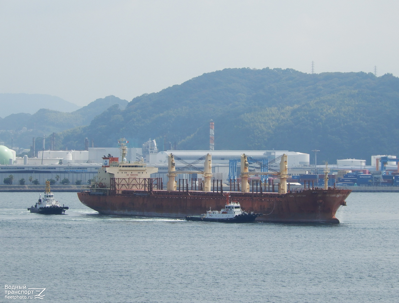 Maple Ambition Maple Ambition