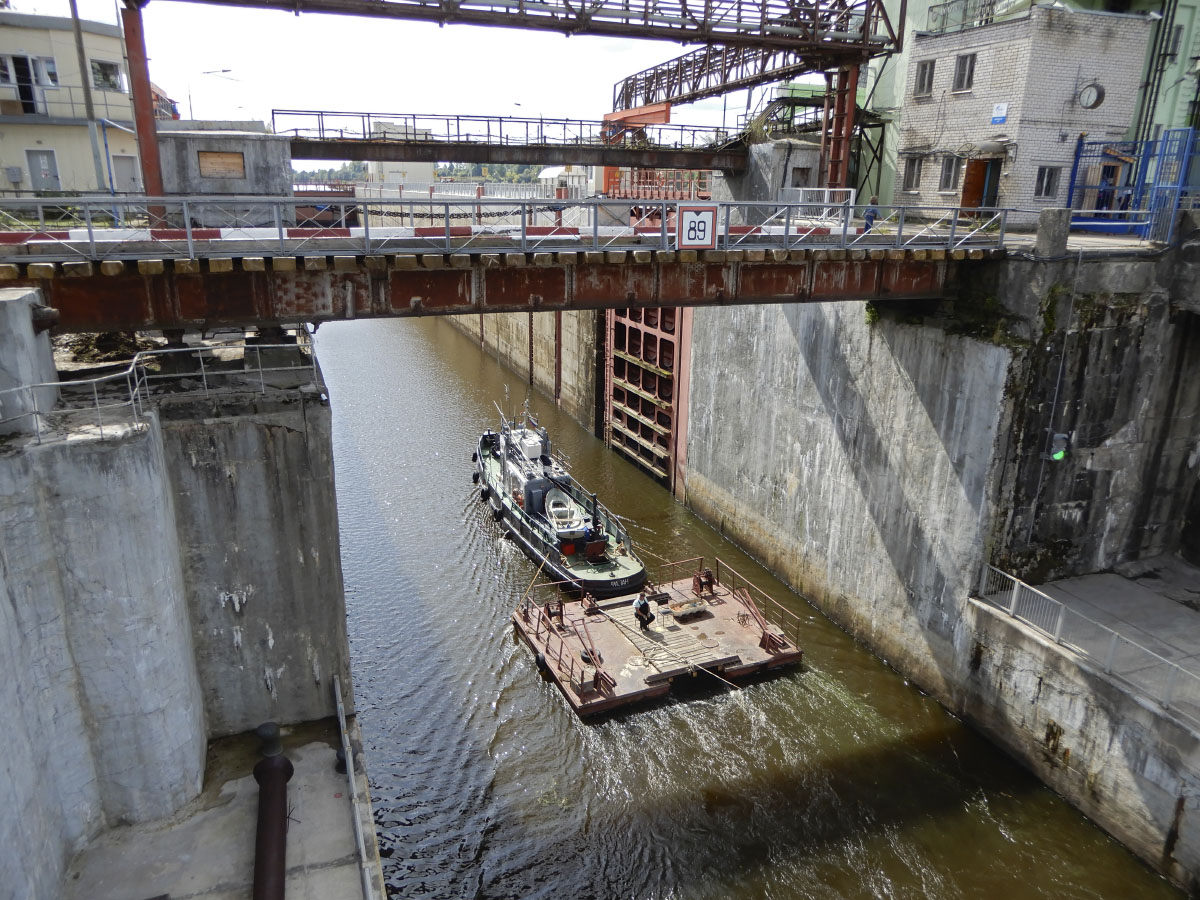 Фазан. Volkhov River