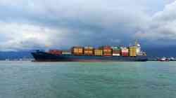 MSC Agna II (Design Ouhua 1500, Madeira)