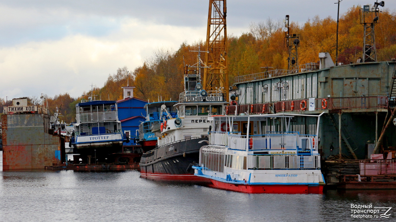 Троттер, Император