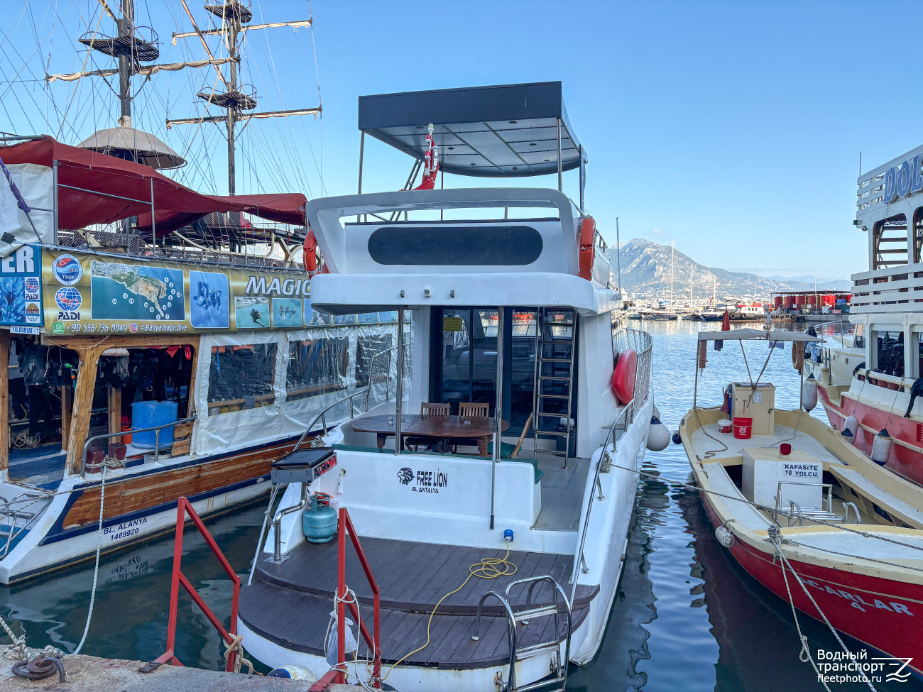 Alanya Diving Center, Free Lion, Acarlar 4