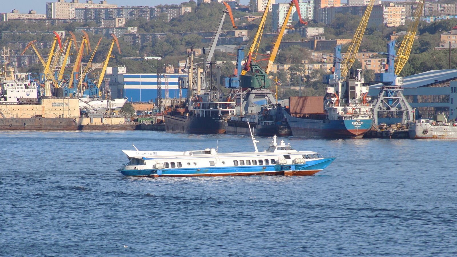 Комета-29, Pamela Stream, DPL Alyur, Фортуна