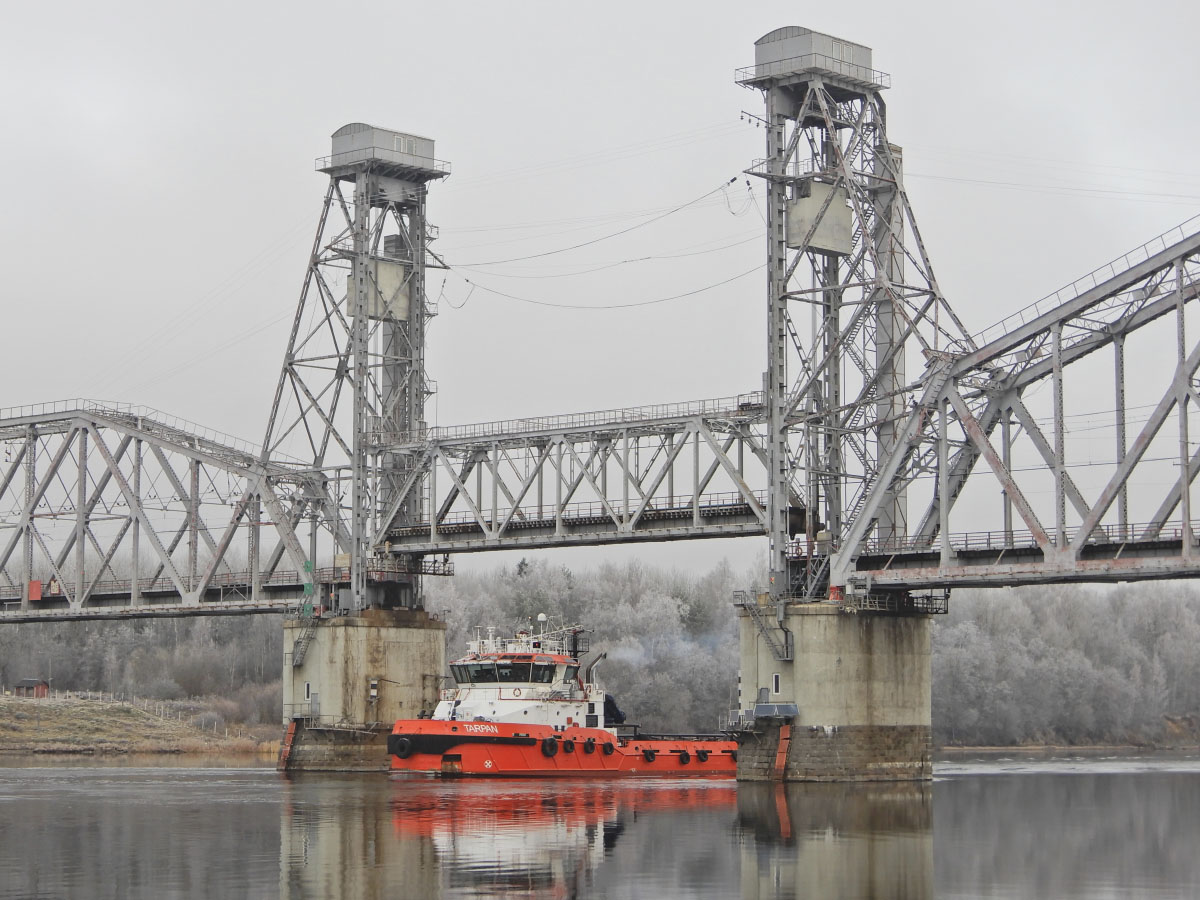 Тарпан. Река Нева