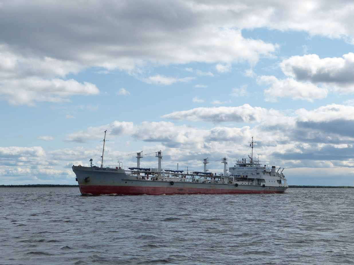 Дмитрий Гусихин