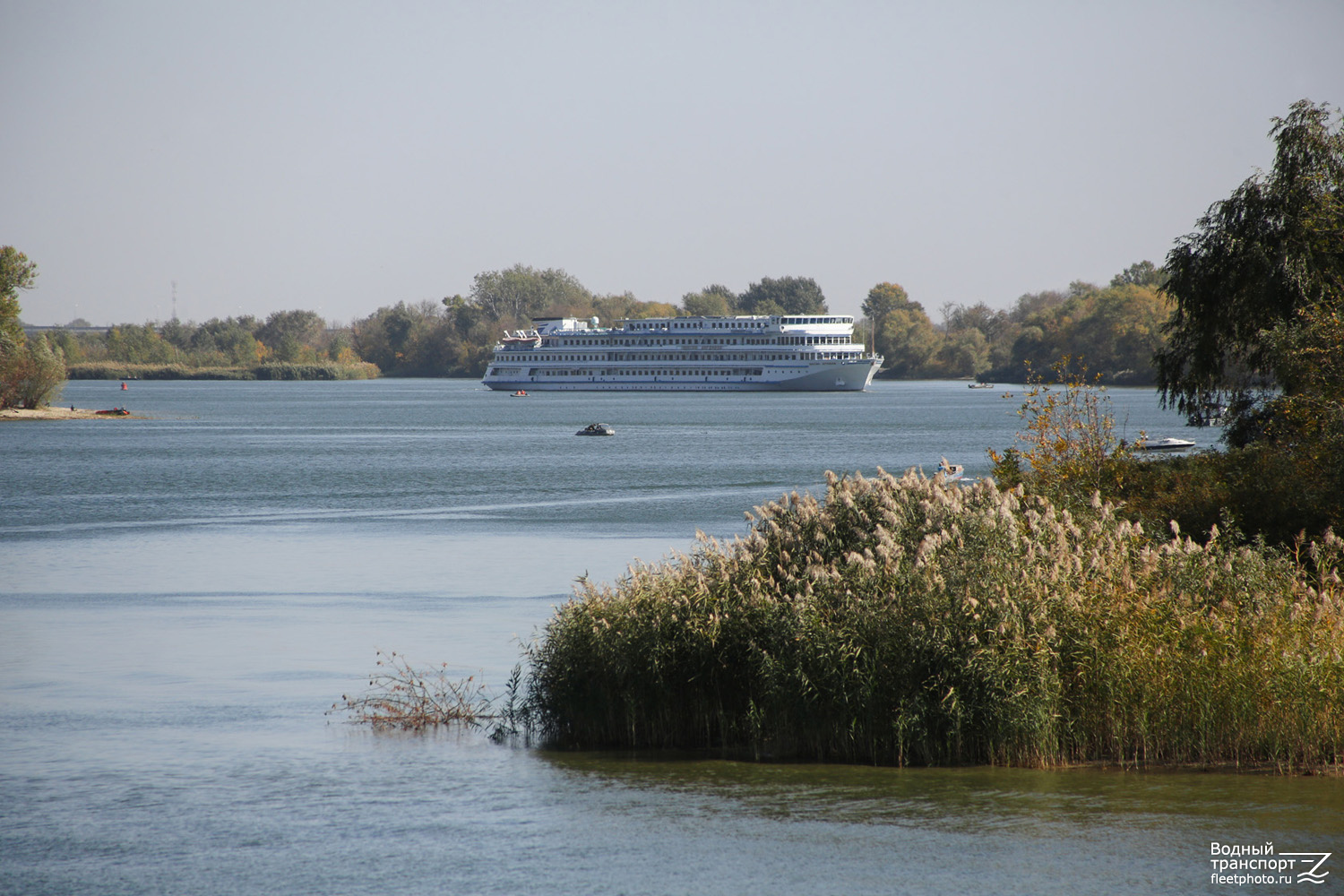 Максим Литвинов