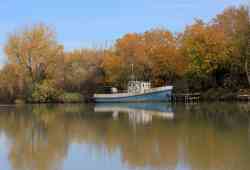 Anastasiya (Ярославец (пр. 376 всех модификаций) type, Krasnodarsky kray)