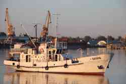 Vityaz (SCHS-150 type, design 572, 572/23, 572/34, 572/34Б, 572/35, Тольятти); Elga-1 (Волга type, 19610 design, Astrakhan)