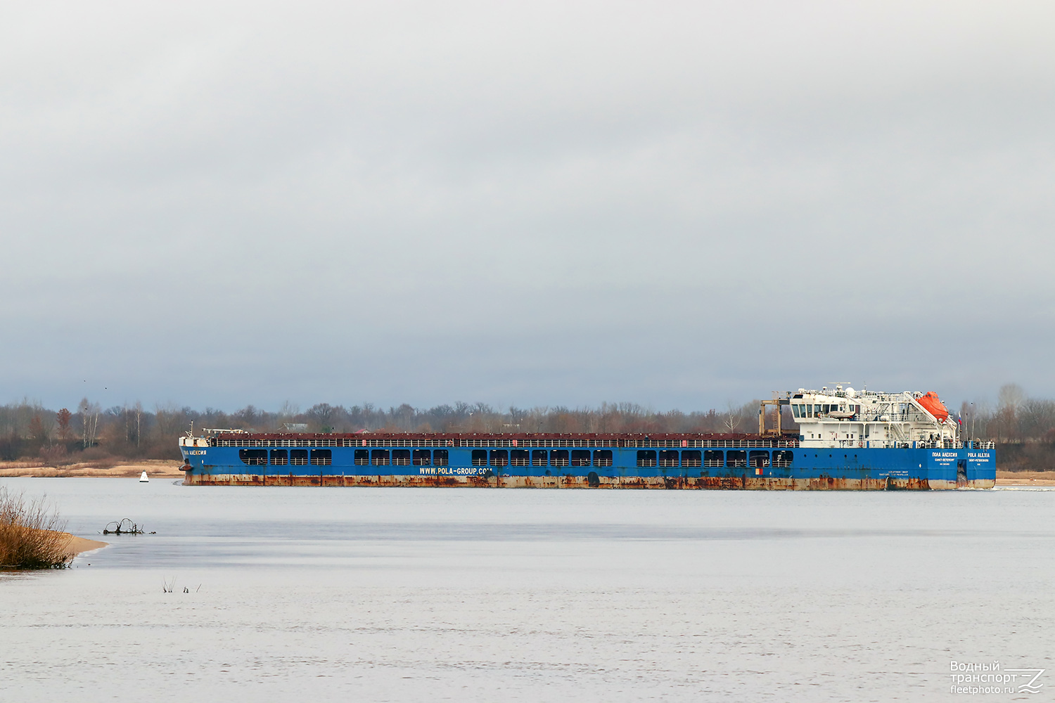 Пола Алексия