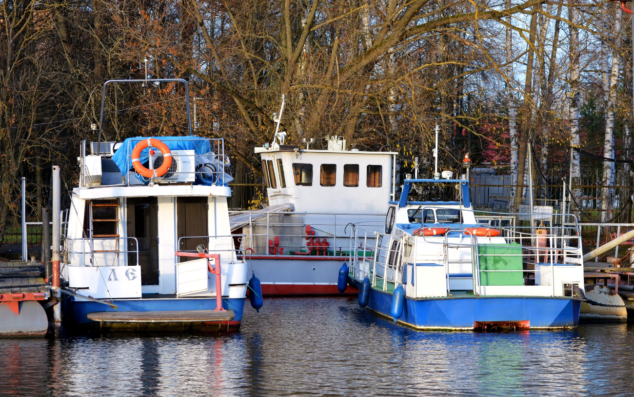 Левада, МА 0454 RUS 50