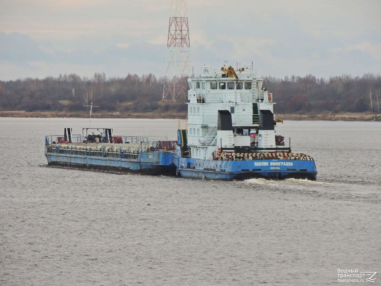 Павлин Виноградов, 4002