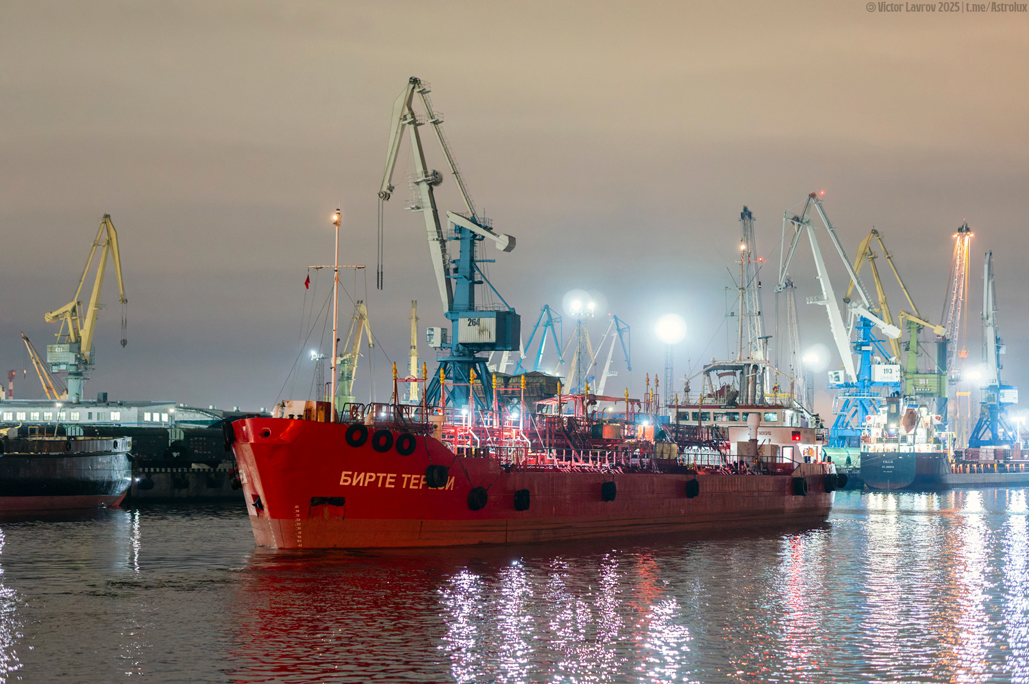 Бирте Терези