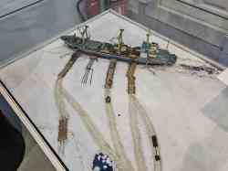 Пионер Москвы (Проект 1590П, тип Пионер Москвы, Архангельск); Разное — Судомоделизм — Модели гражданских судов