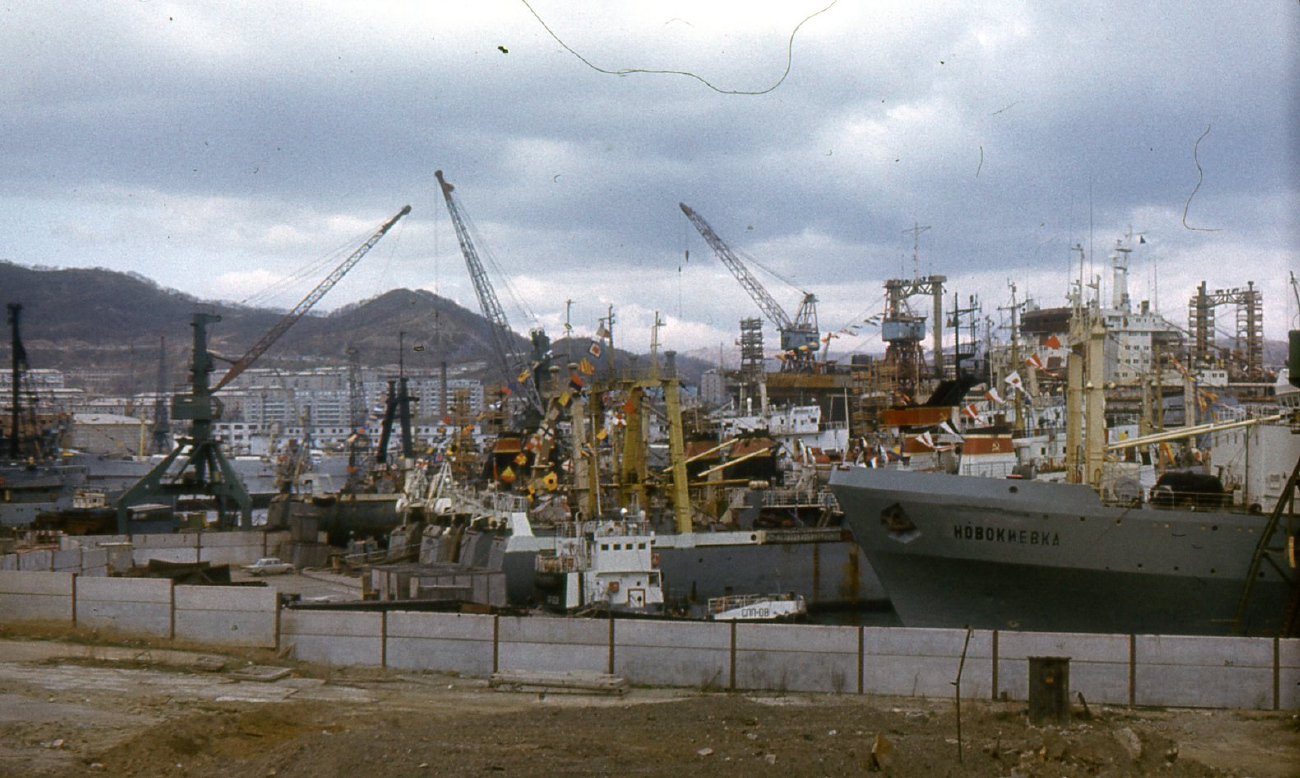 Новокиевка