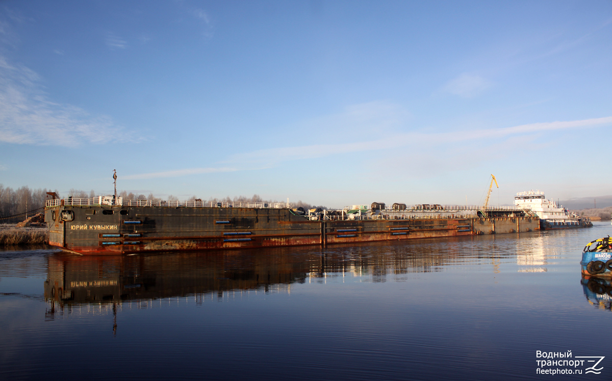 Юрий Кувыкин, Зубр