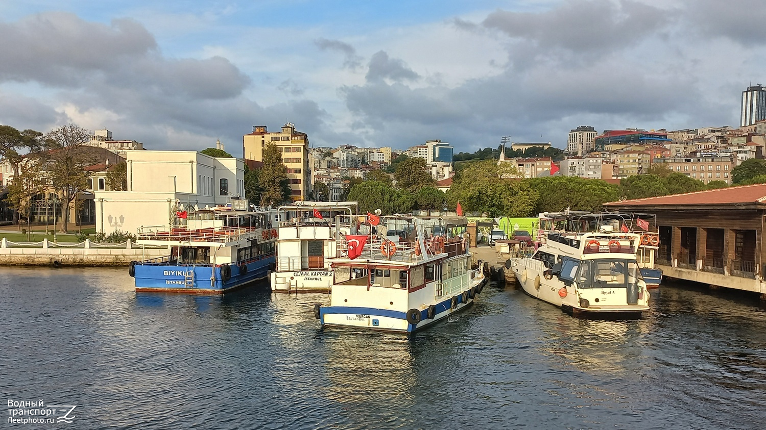 Biyikli, Cemal Kaptan 2, Mercan, Royal A